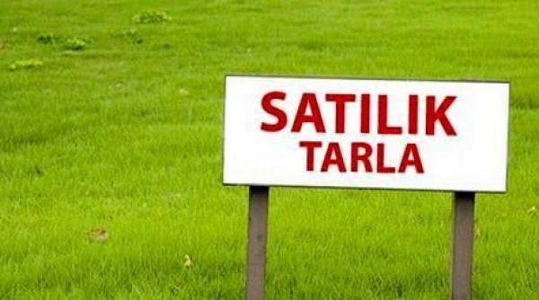 Mugla Ortaca da 5.5 donum Satılık Tarla