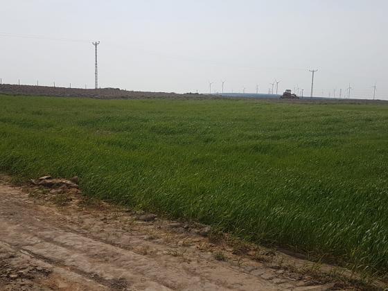 SİLİVRİ ÇANTADA SATILIK KONUT İMARLI ARSALAR