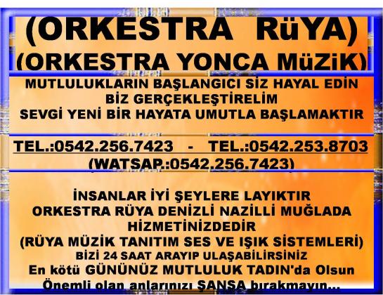 DENİZLİDEKİ ORKESTRALAR NAZİLLİDEKİ ORKESTRALAR KARACASU KALE ORKESTRALAR YATAĞANDA ORKESTRALAR
