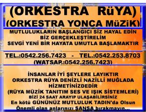 NAZİLLİDEKİ ORKESTRALAR AYDIN İLÇELERİNDEKİ ORKESTRALAR KÖŞK BOZDOĞAN ORKESTRALAR