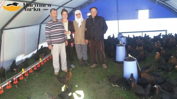 ÇADIR TAVUK KÜMES KURULUMU