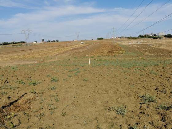 SİLİVRİ İLÇESİNDE KAÇIRILMAZ FIRSAT TEK TAPU 565 METREKARE ARSA