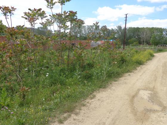 TEKİRDAĞ MARMARA EREĞLİSİN İLÇESİNDE 300 METREKARE ARSA