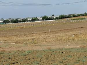 SİLİVRİ İLÇESİNDE KAÇIRILMAZ FIRSAT TEK TAPU 565 METREKARE ARSA