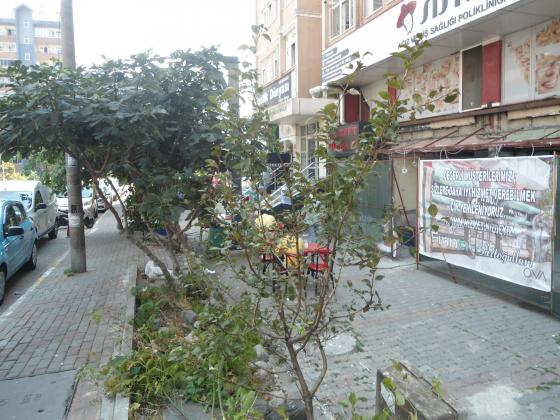 OSCARDAN BEYLİKDÜZÜ BARIŞ MAHALLESİNDE METROBÜSE 500 METRE MESAFEDE SATILK DAİRE