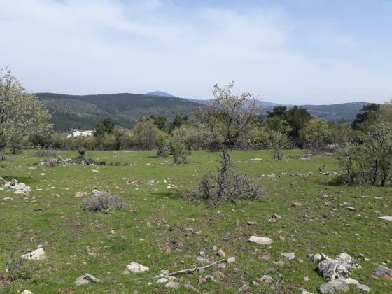 ÇANAKKALE akçalı KÖYÜNDE satılık tarla