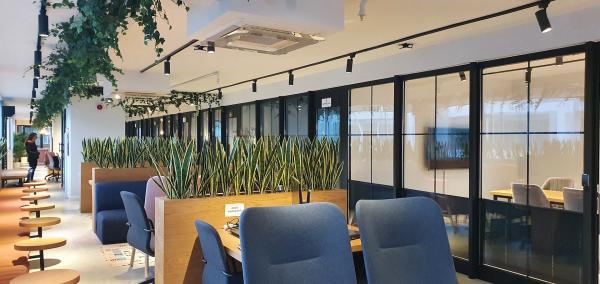 Work c Sanal Ofis mini Gezgin Üyelik
