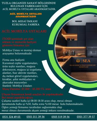 Mobi̇lya ustasi
