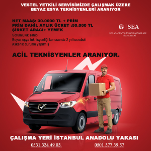 Vestel teknis servis